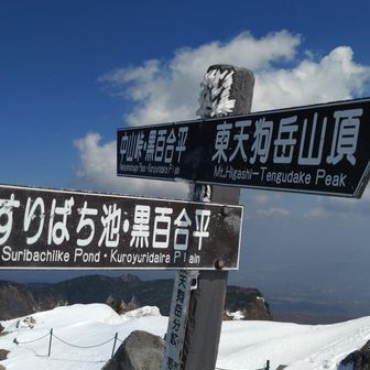 中山峠方面は危険そうなので、黒百合平へ。