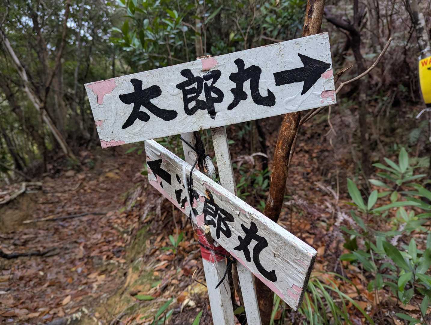 分岐です