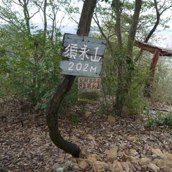 須永山。
ここも眺望は良かったです。