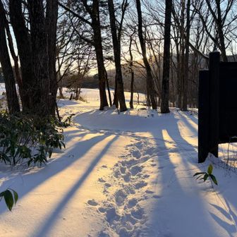 日の入り前に登山口に到着
終日硯石コースでのスライドは無く、我々の専用コースとなりました。