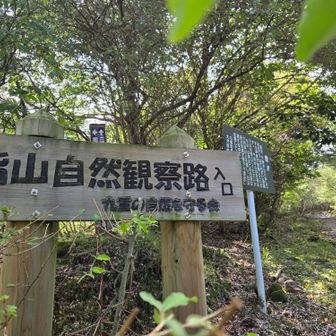入り口から出