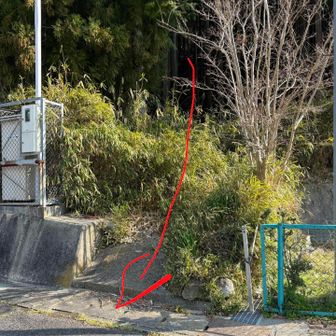 反対側の取り付きに降りて来ました。
笹薮になっていたので降り口が分からず、右往左往してやっと道路に！