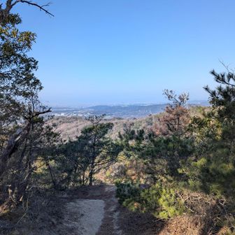 元岩巣山⛰️登頂(出発から1時間19分)