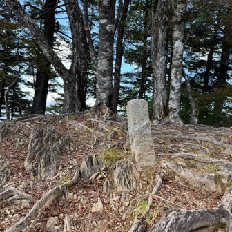 ヨモギの頭の石柱