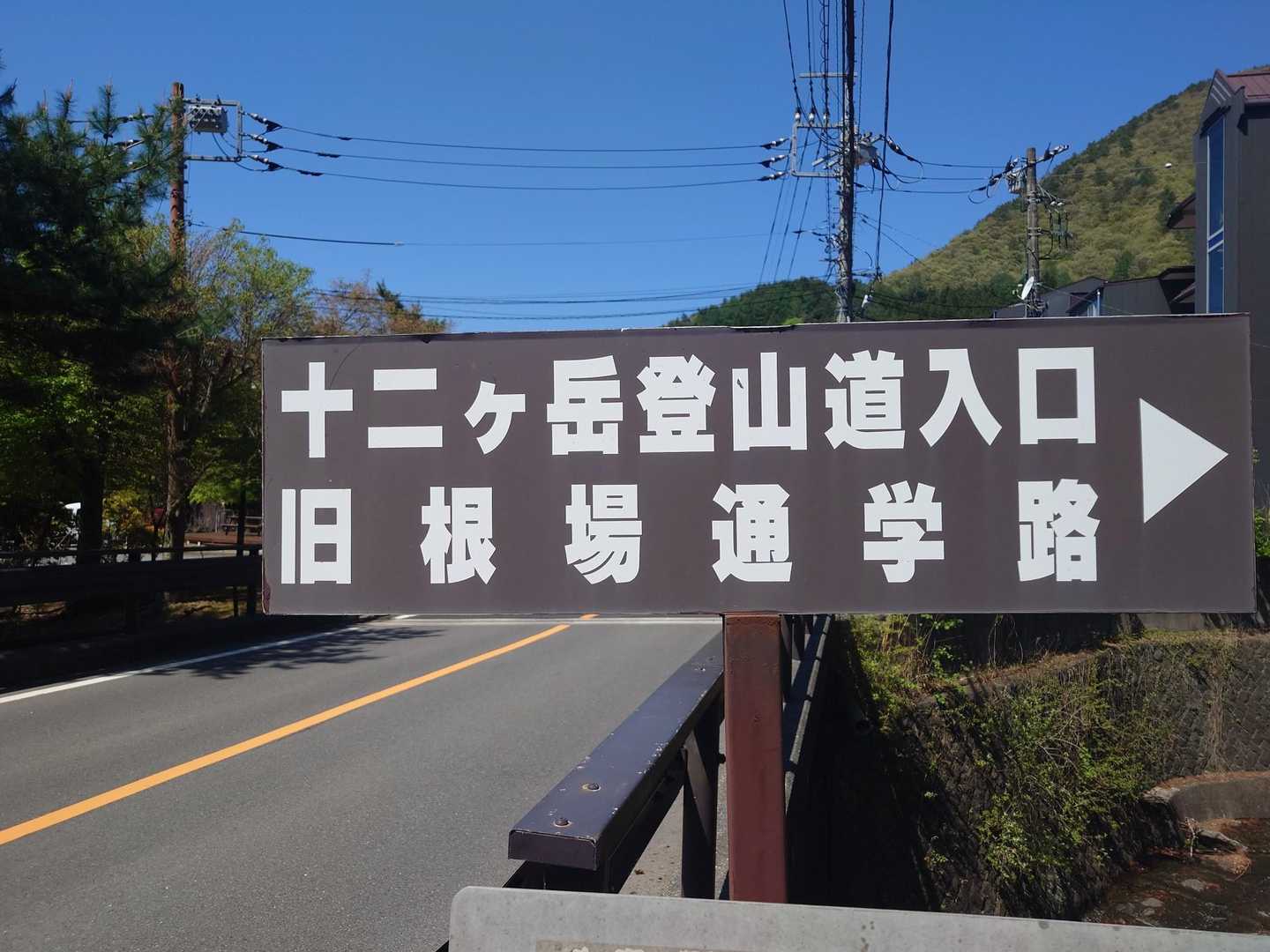 桑留尾登山口-十二ヶ岳 往復コースの写真