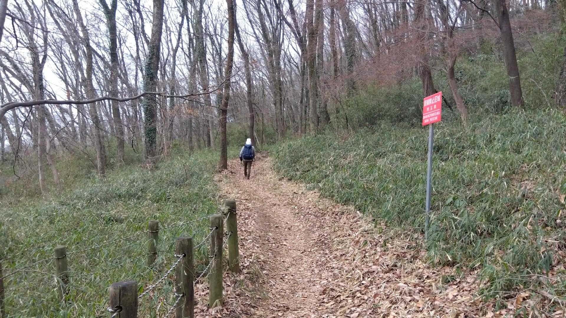仙元山山頂へ向かいます。