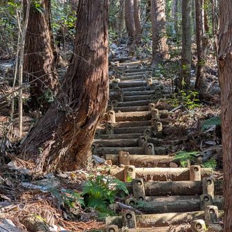 ゆったりハイキングかと思いきやかなり急で長い階段でした😅