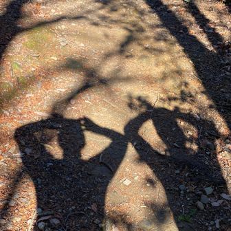 畦地梅太郎ふう👀