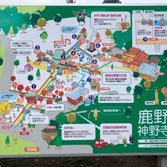 鹿野山神野寺の境内マップ。
聖徳太子が開いたとも伝えられる関東屈指の古寺。見どころも多数あります。