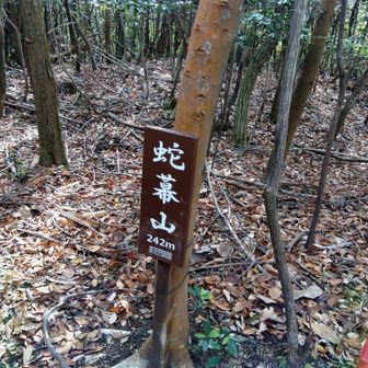 今日のミッションクリア。ここも展望なし