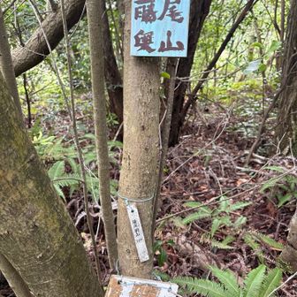 グレーピークの藤尾奥山🩶⛰️
