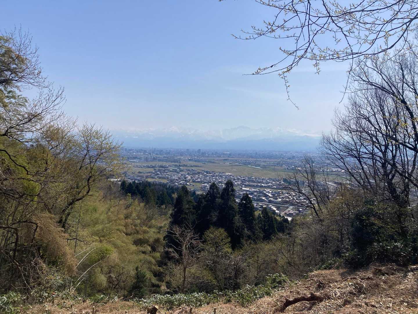 春爛漫！良い日やなあー✨