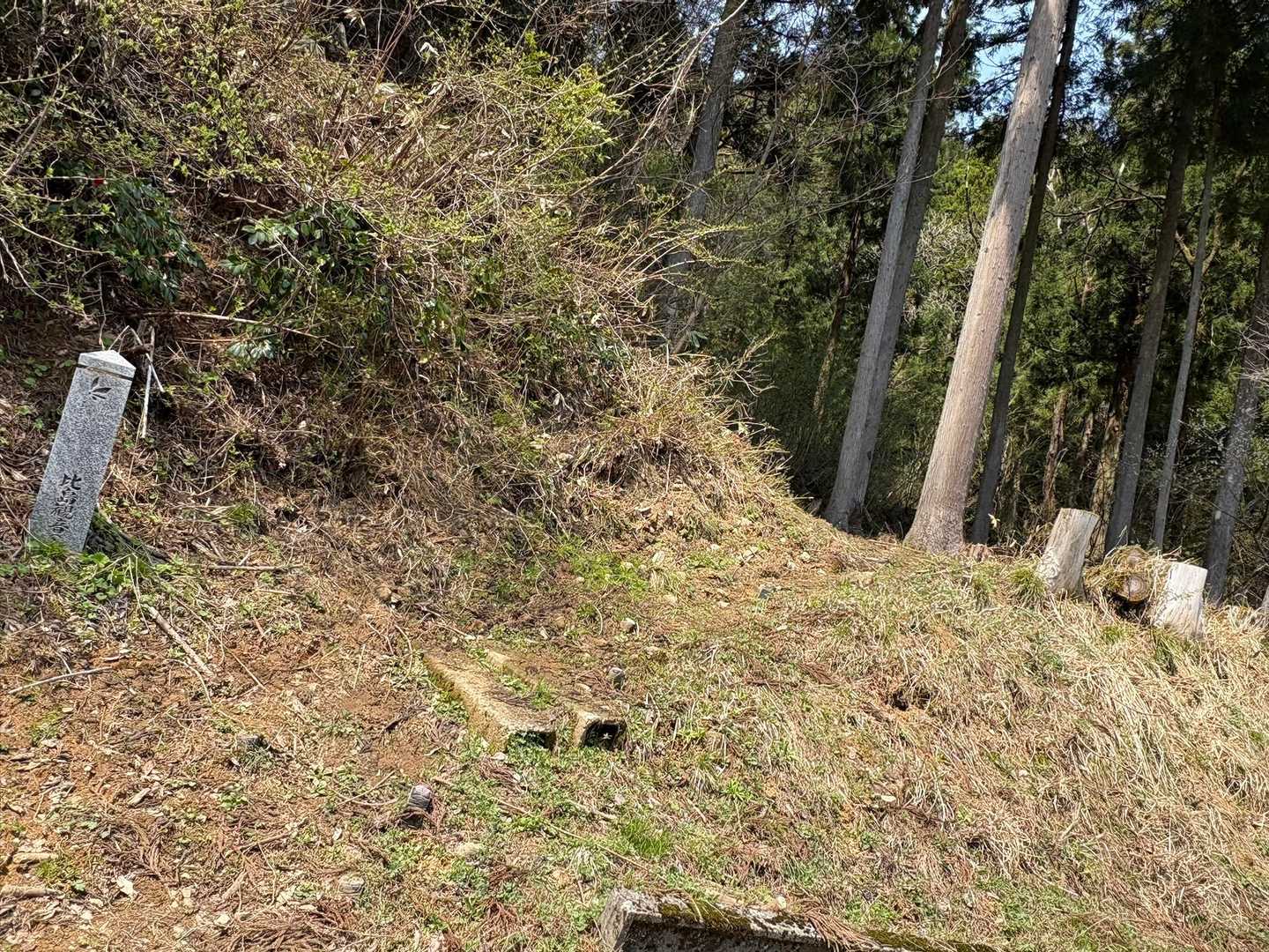 足をとめながら　下山口なんだけど
