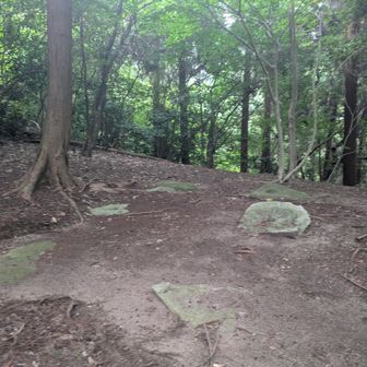遺構がたくさん。