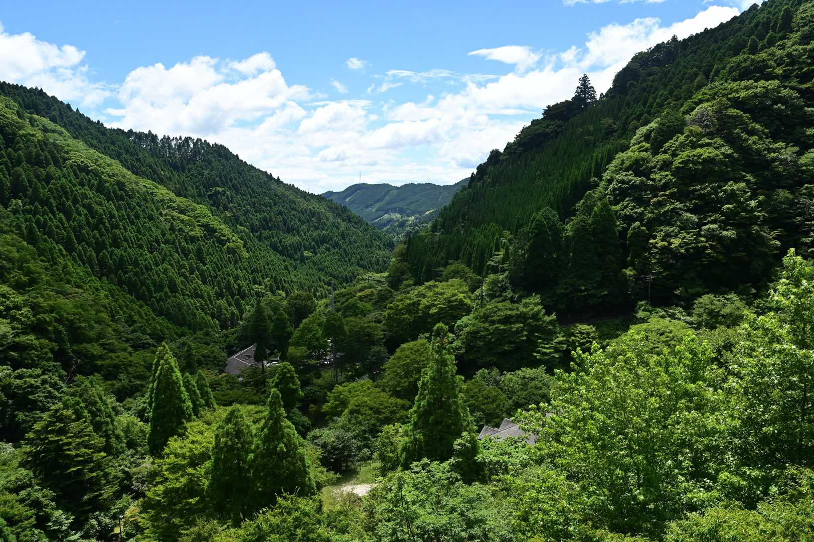 暑くて登りも大変だったけど、楽しい一日でした(^-^)