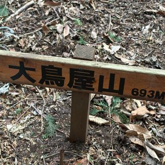 急斜面を30分登ると
１座目
大鳥屋山⛰️
ここは栃木百名山なので既に登ったことがあります。