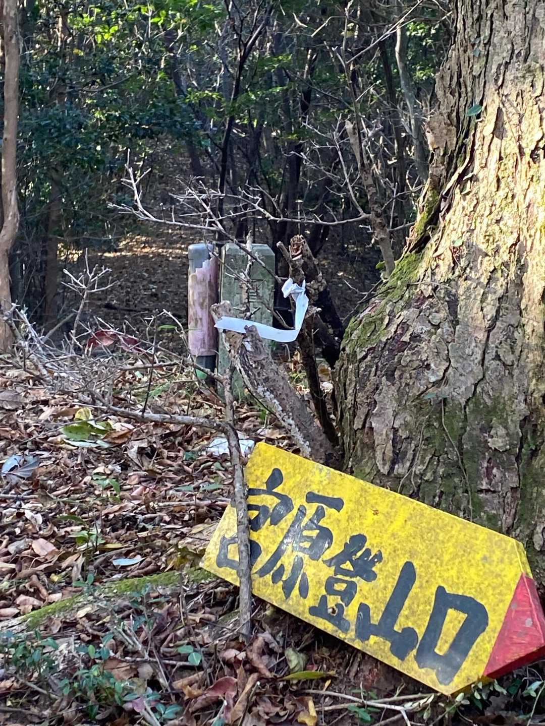 ここが唯一の分岐です〜😄