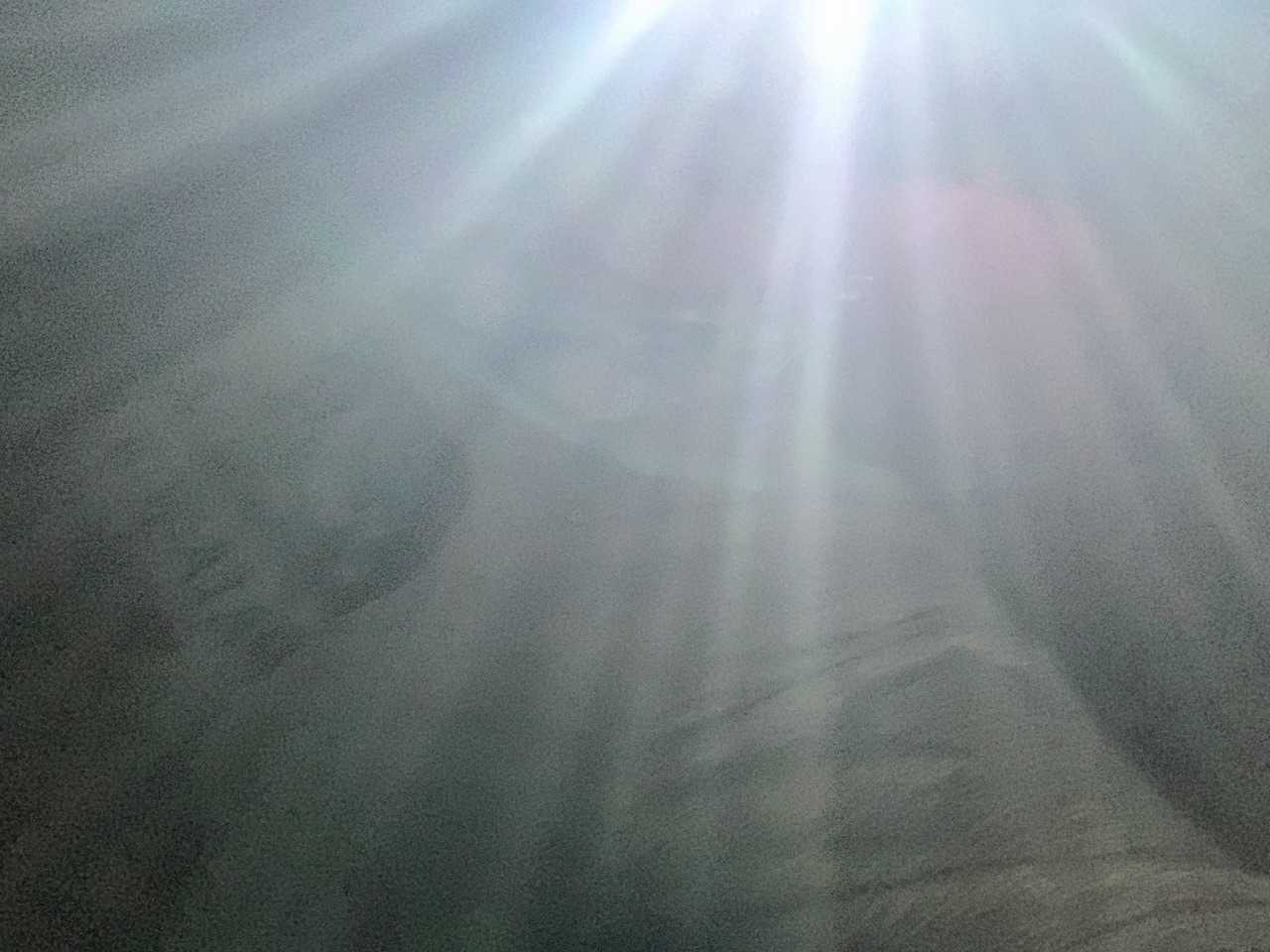 下山はヘッデンで、ノンストップで駆け下りました笑笑
今日もたくさんのありがとう😊
おつかれ山でした⛰