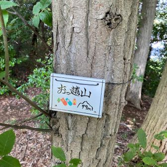 かわいい山頂標識
