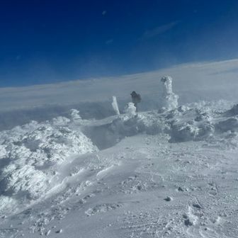山頂の後ろ姿
風が🤣