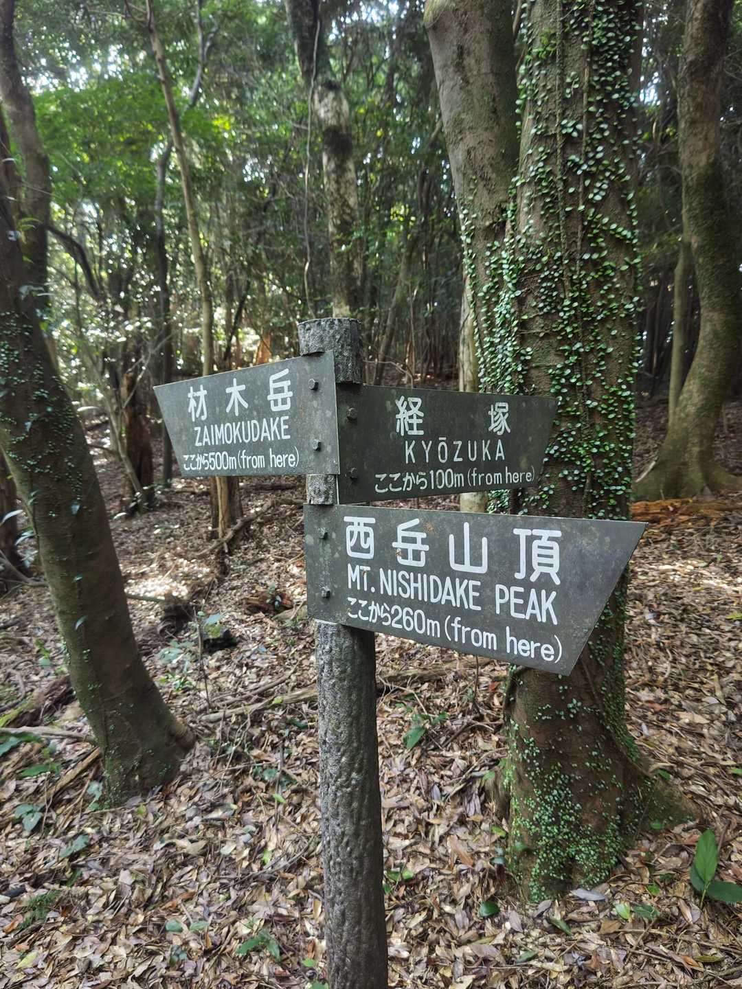 西岳登山口-冠岳-中岳-東岳 往復コースの写真