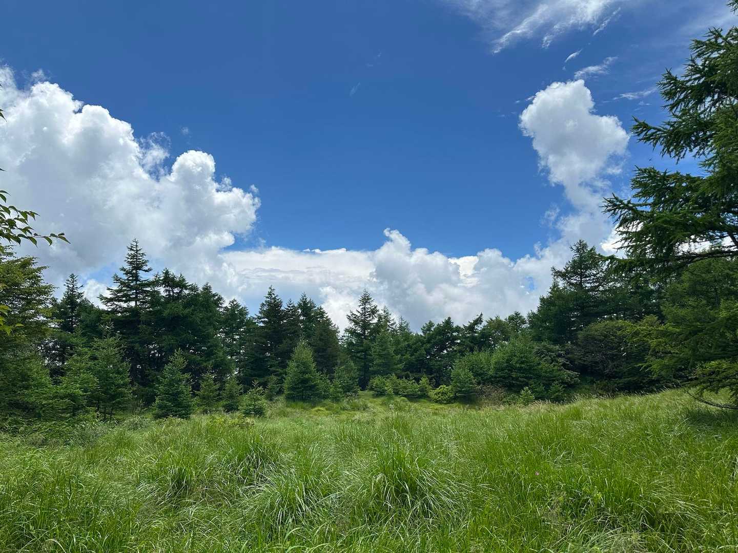 夏空〜