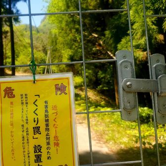 動物避けの外へ
楽しかったねぇ！
山友さんの良いペース
で疲れなし
前日の陶芸の土練り作業
3時間の疲れ
無くなり爽やかな５月
こまゆみだけ
良き山でした♪