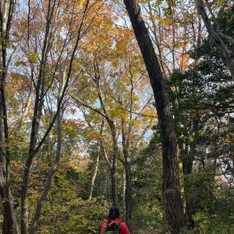 朝の空気が気持ちいい