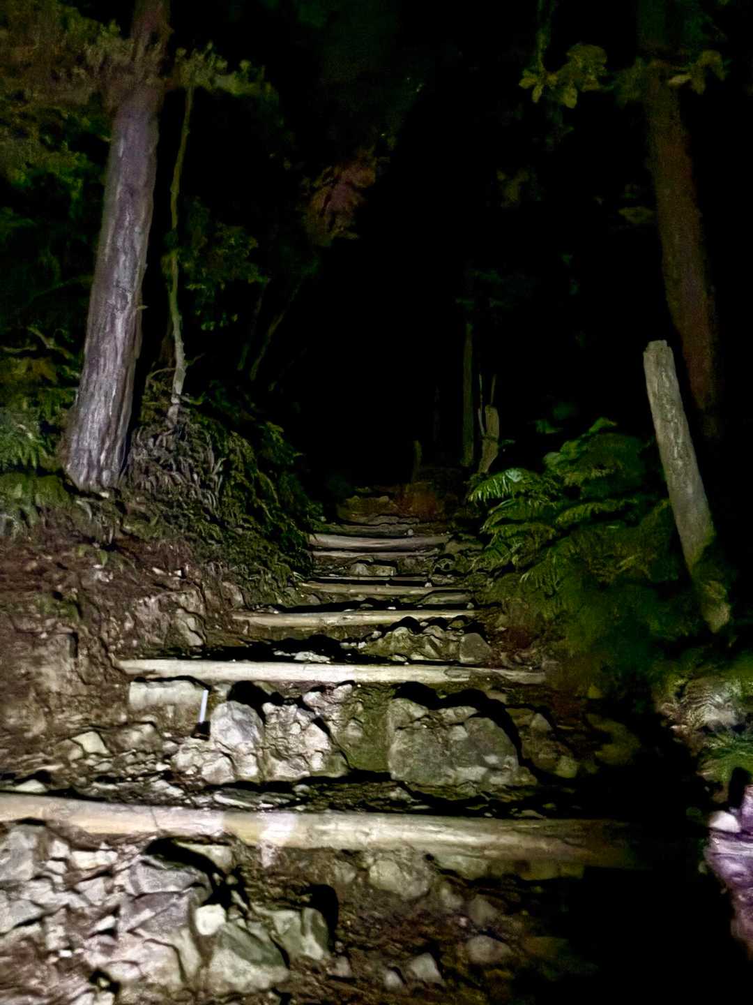 急登が続くんだけどなんせ真っ暗すぎて
何も見えない👀
でも空を見上げると星がいっぱいに広がってる🌟
きれいやーーん🤩