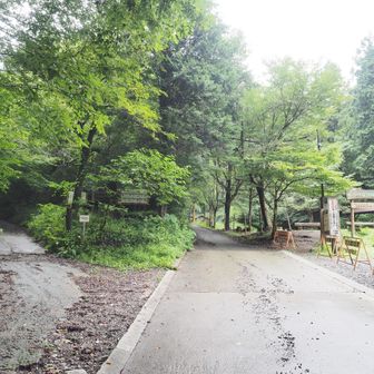 キャンプ場の広場がいろはの森コースとの分岐になっています
左に進むといろはの森