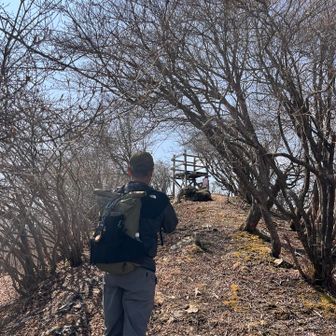 鷹熊山山頂が見えてきた
