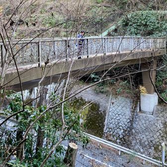 高尾山に向かう　これで半分くらいかな
