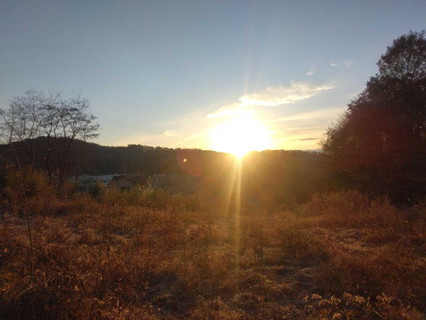 今年は麓でご来光✨