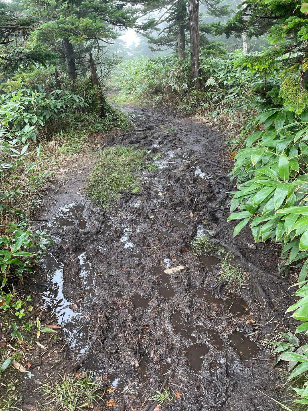 次第にこのような道が続いてくる😅