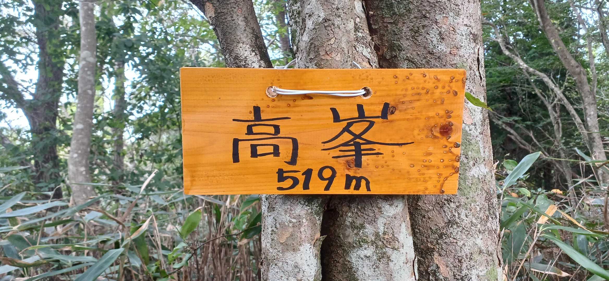 間違いなく高峯でした