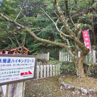 太閤道はここで終了。
下山せず、もう少し頑張ります💪