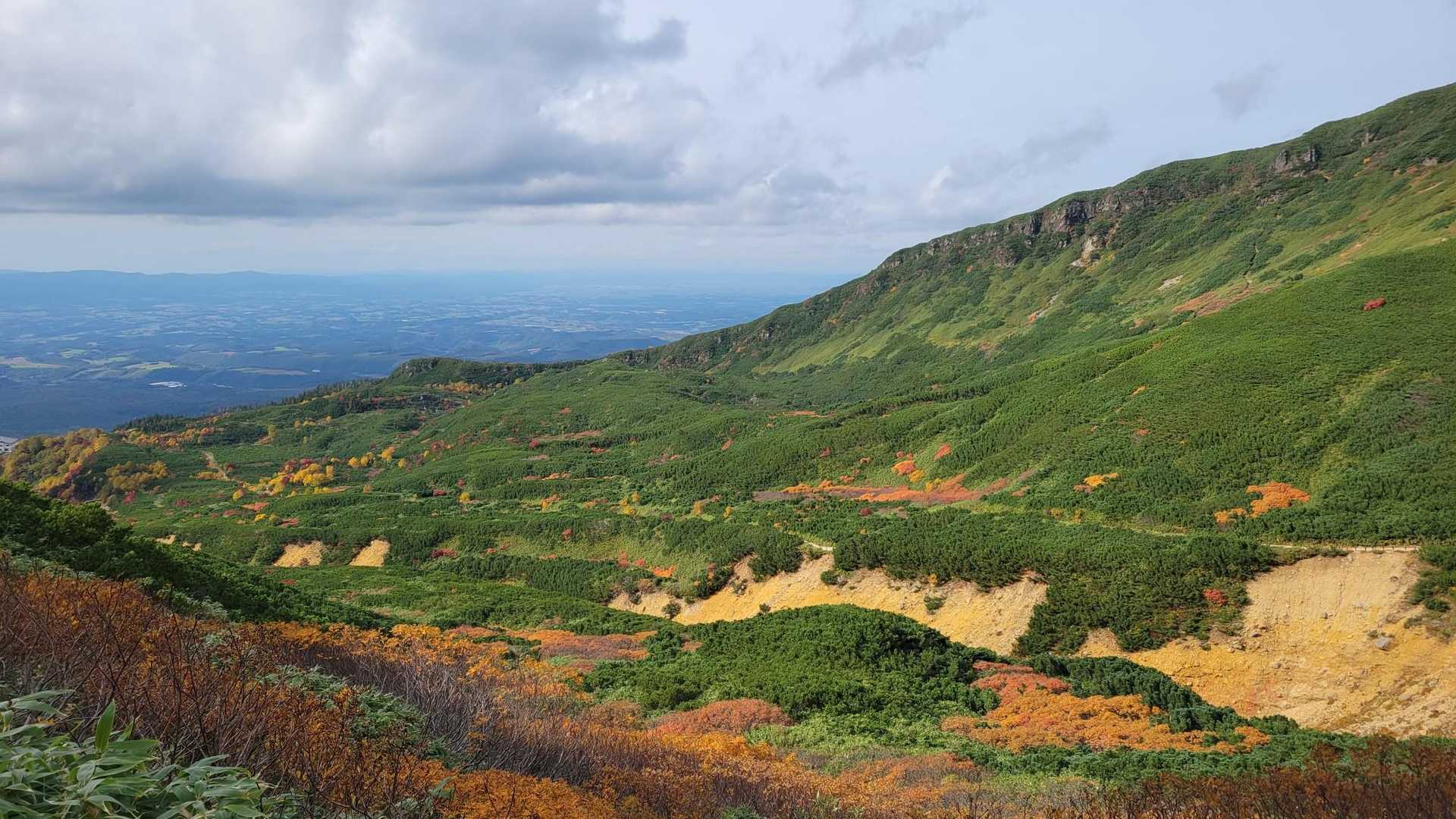雲が出てきて太陽光が足りないけど、キレイなんです🍁✨