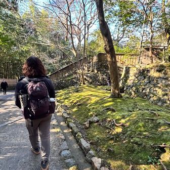 法然院に下山、