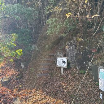 桃源台方面の登山口到達❗️