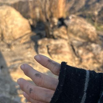 どこかで炭になった木🪾に触ったみたい💦
すすが付いて黒く成ってました