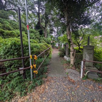 ココか？　とにかく行ってみる　息切れが、、、