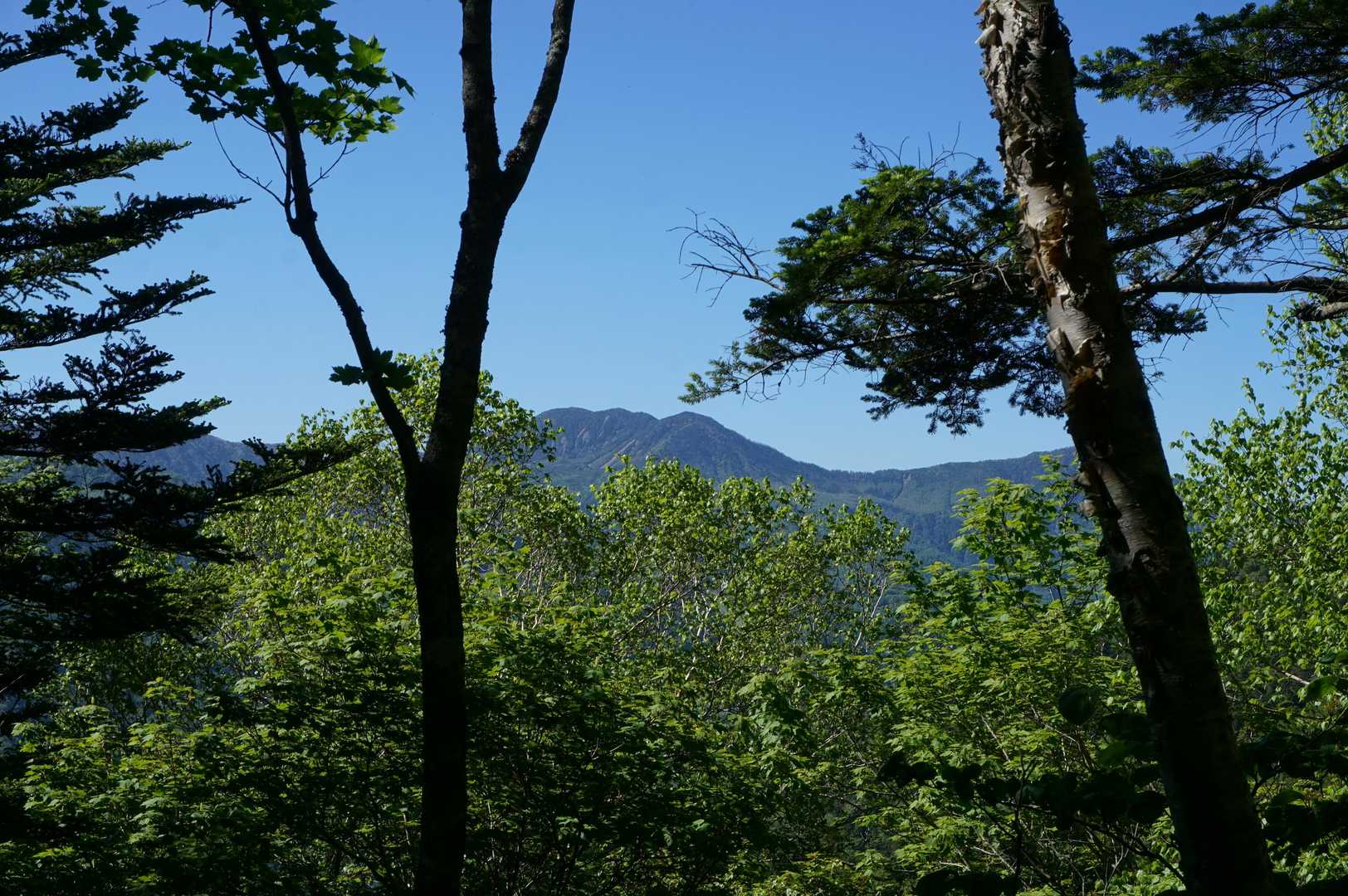 目の前に錫ヶ岳