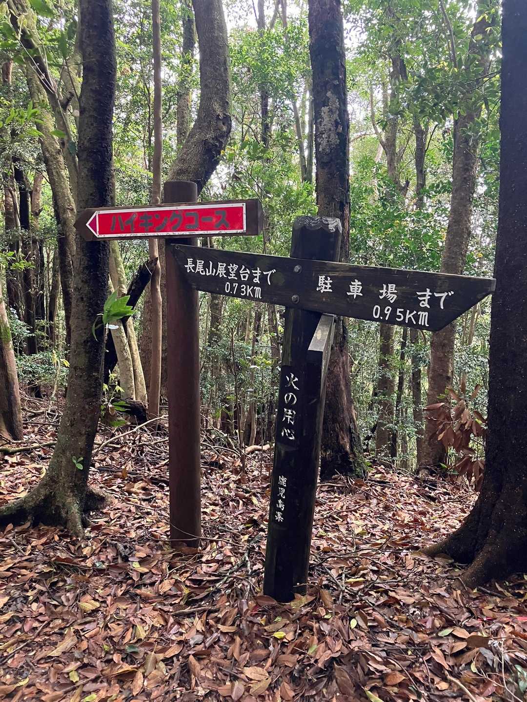 南登山口-長尾山-仏石 周回コースの写真