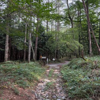 登山口見えた！