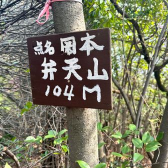住宅街のど真ん中にある弁天山
道はほぼなし！
探検みたいで楽しかった〜