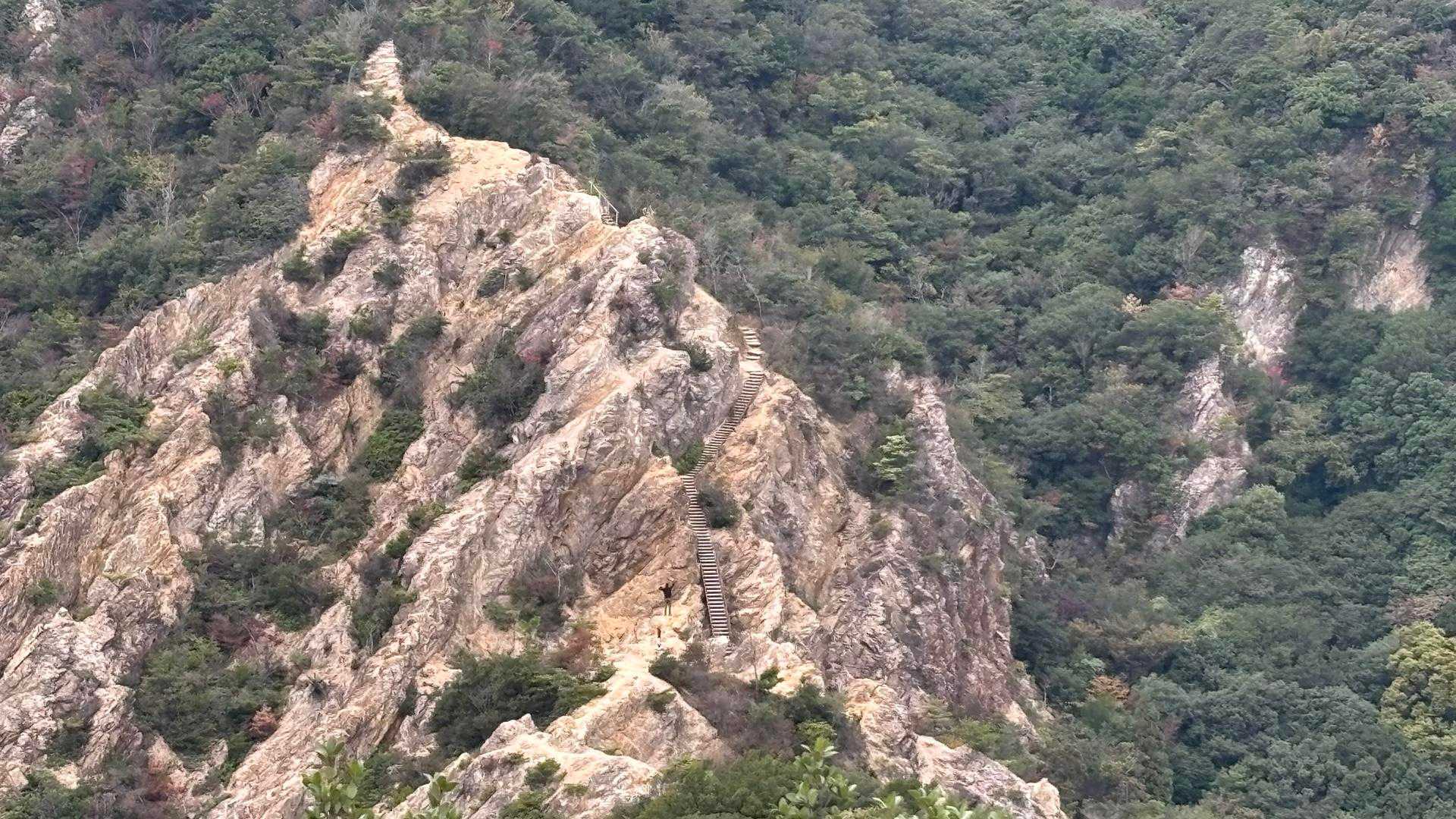 え、あの階段を登るの⁉️