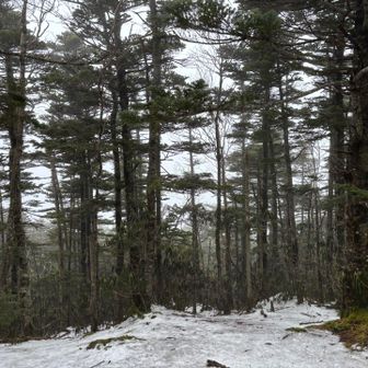 展望はゼロよ
埼玉最高峰は埼玉を体現しているようだわ

埼玉はなにもなくて未来の展望もゼロだなんて一言も言ってなくてよ！