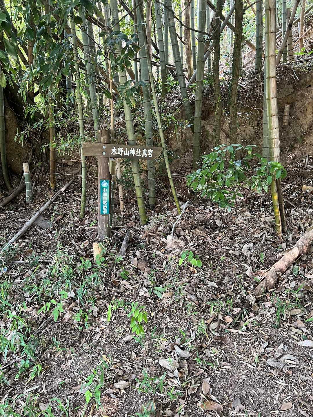 木野山神社-木野山 往復コースの写真