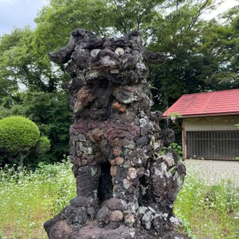 狛犬かな？
チャウチャウちゃう？チャウチャウちゃうんちゃう？
チャウチャウちゃうで〜😆
