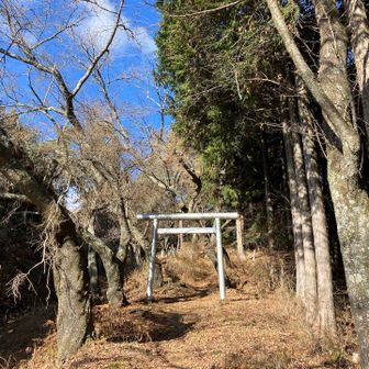 こちらは正面からお参り